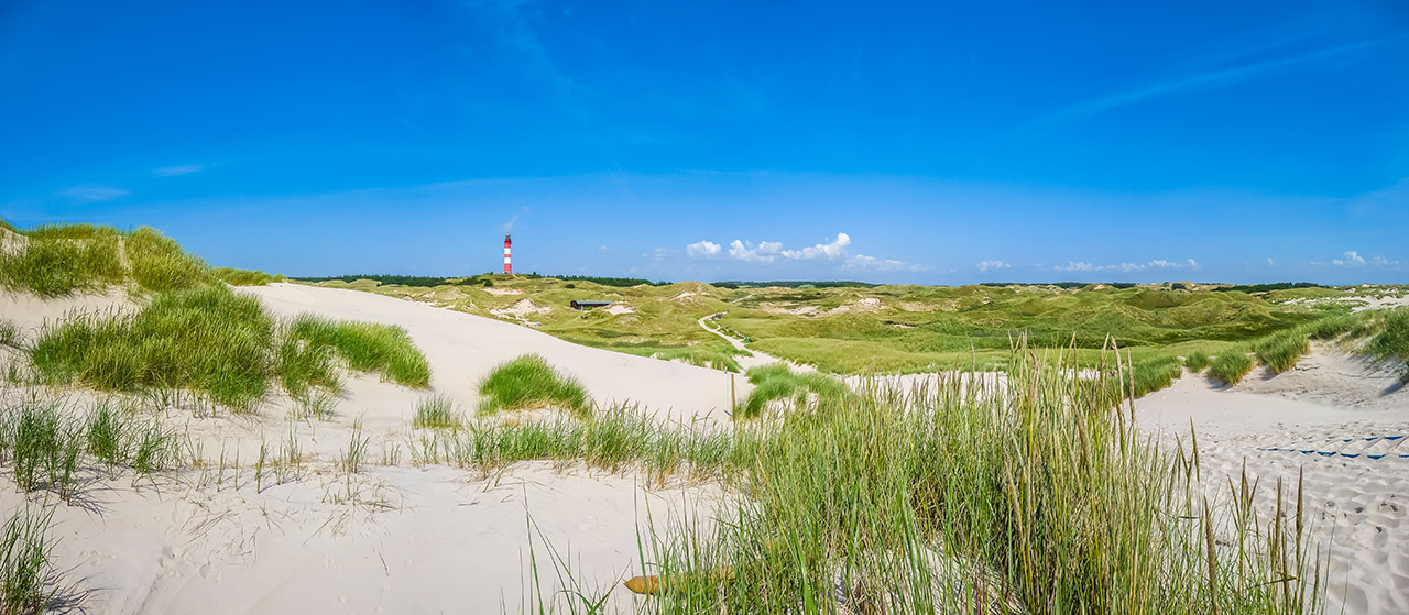 Schöne Landschaft und Dünen auf der Nordseeinsel Fanö